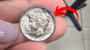 Rare Peace Dollars That Are Still Hidden In Circulation