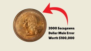 The Rare 2000 Sacagawea Dollar Mule Error Worth $100,000 – And 7 More Stunning Coins!